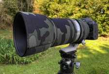 Canon RF 100-500mm F4.5-7.1 L