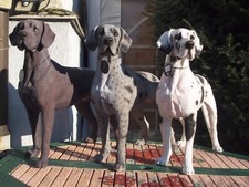 Deutsche dogge deko figur - deutsche,