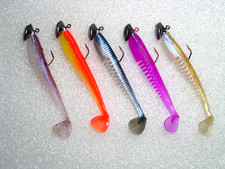 5 Stück Breitschwanz