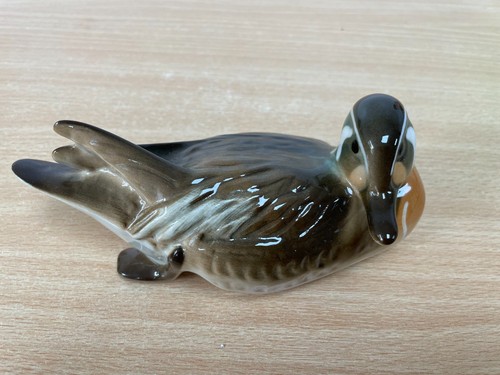Lomonossow russische ente - russische,