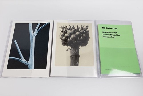 Karl blossfeldt no two - karl,