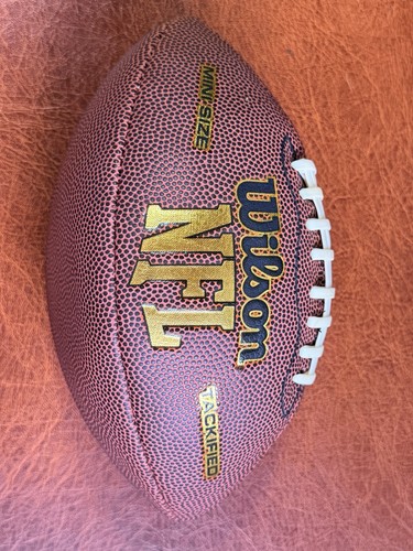 Wilson nfl mini football - wilson,