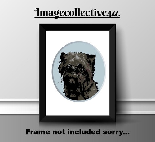 Affenpinscher haustier hund - haustier,