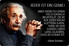 Schild Spruch "Jeder Genie