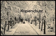 ALTE POSTKARTE KURORT WEISSER HIRSCH IM WALDPARK WINTER DRESDEN Schlitten luge s