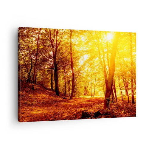 Wandbilder 70x50cm