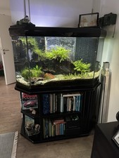 Aquarium Klavierlack Schwarz etwa 320l Diskus Außergewöhnlich Einmalig