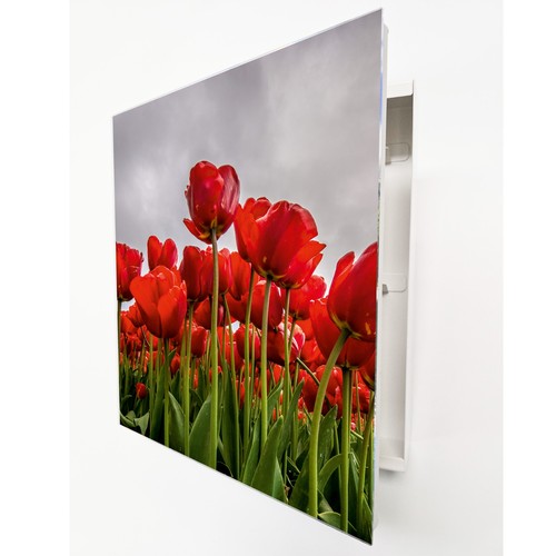 Red tulip key box - box,, 20