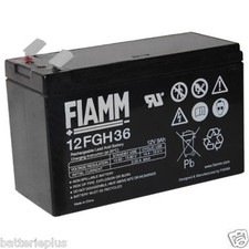 AMG Fiamm | FGS 12FGH36