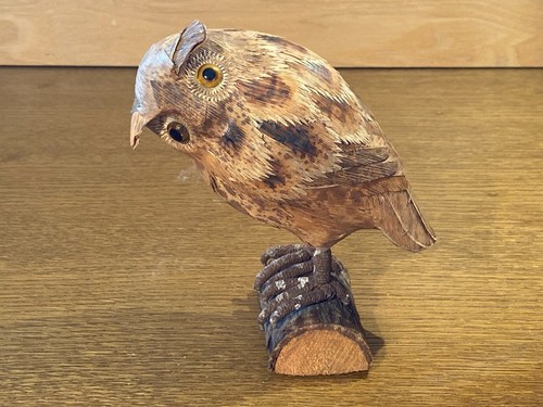Figur eule kauz aus - figur, und
