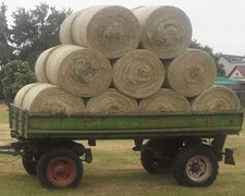 Pferdeheu in Rundballen