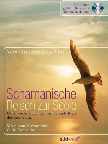 Schamanische reisen zur seele - schamanische,