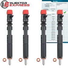 4x EJBR02201Z Ford Transit Connect 1,8TDCI DELPHI Injektor  EJBR01601Z
