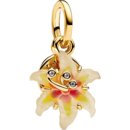 Charm anhänger sterling - charm,