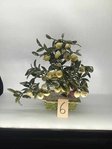 Edelstein bonsai jade - bonsai, baum