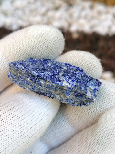 Lapislazuli roh freiform - roh,
