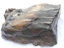 Holz, versteinert, 24cm