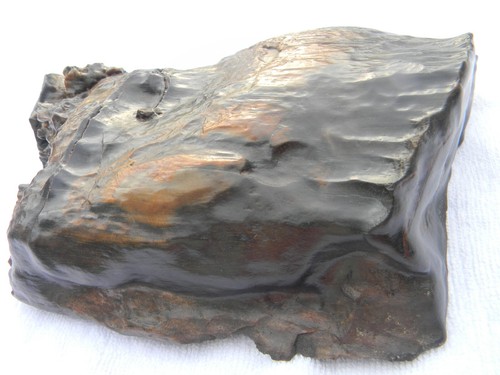 Holz versteinert 24cm - holz,, versteinert,