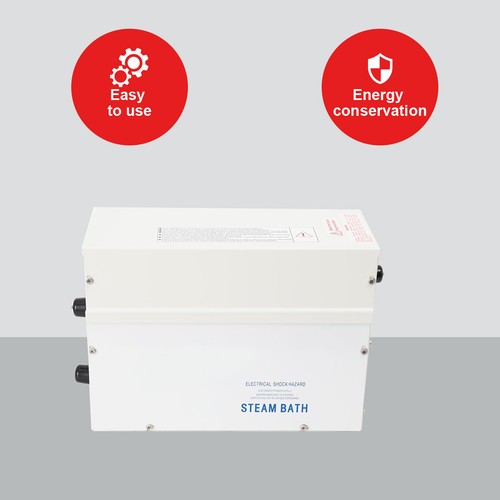 Dampfgenerator 4kw steam - dampfgenerator,