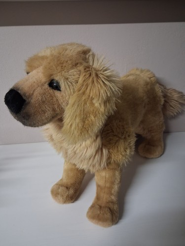 Kösen golden retriever - kösen,
