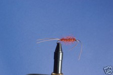 Fyggi Braun Fliegenfischen