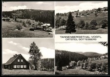 Ansichtskarte Gottesberg / Vogtl., Ortsansicht am Wald 