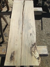 1 St. Buchenholzbohle