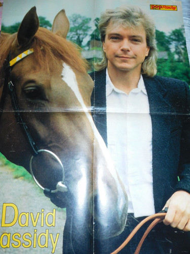 Nena david cassidy - nena, /