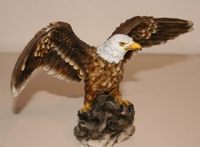 Weißkopfseeadler von A