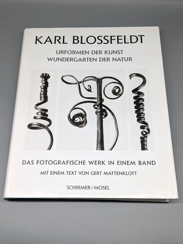 Karl blossfeldt urformen der - blossfeldt,