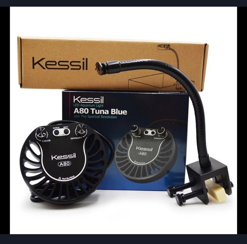 Kessil a80 tuna - kessil,