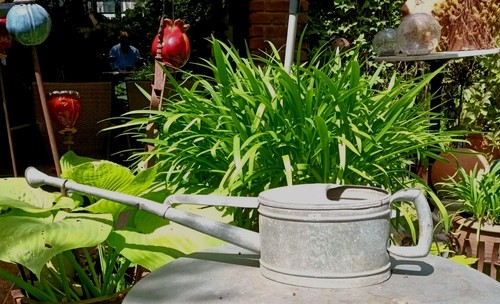 Schneiderkanne - ,