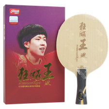 DHS Hurricane King Q. Wang