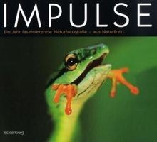 Impulse ein jahr - impulse:,
