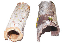 Rindenhöhlen 2 St.  Terrarium Hamster Reptilien Dekoration, unbenutzt!