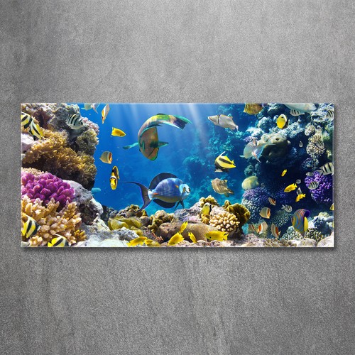 Glas bild wandbilder - glas-bild,
