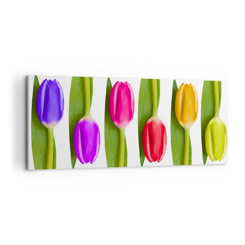 Wandbilder 120x50cm