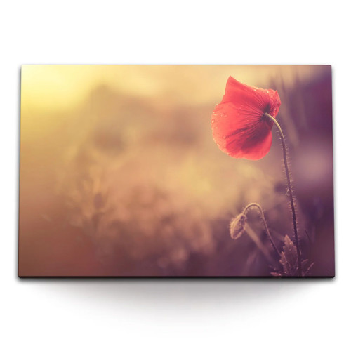 120x80cm wandbild auf leinwand - wandbild,
