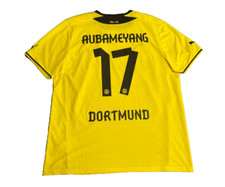 Borussia Dortmund BVB