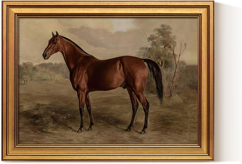Pferd leinwandbild 40x30 - pferd,