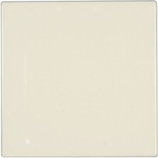 Jung  Abdeckung Blindabdeckung