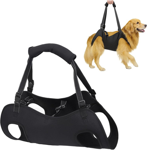 Hund tragehilfe für - tragehilfe,