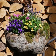 exklusive Blumenschale für Garten, Terrasse oder Grab, Holz, Apfelbaum