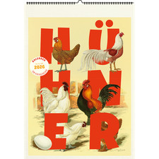Hühner. Wandkalender 2026