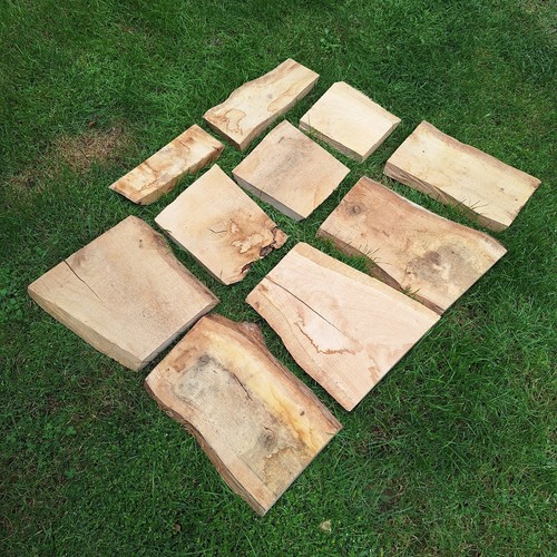 Bastelbretter 10x eichenbohlen - 10x,