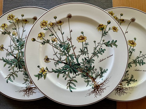 Villeroy boch botanica - &,
