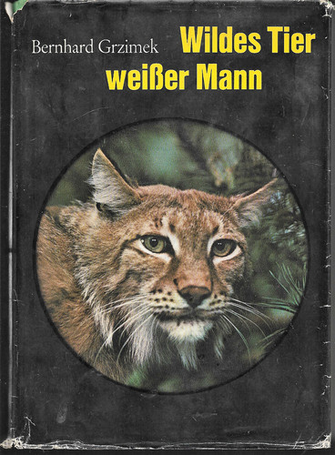Wildes tier weißer mann - weißer, x