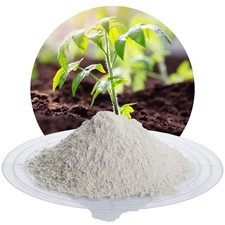 Schicker Mineral Zeolith-100