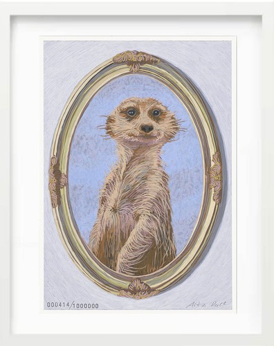 Erdmännchen giclée druck - giclée,