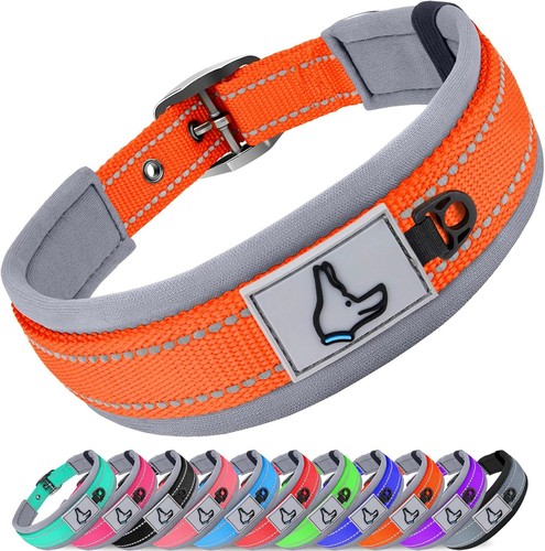 Halsband hund gepolstert - hund,